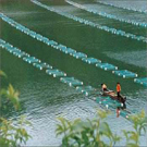 淡水養殖專業