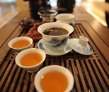 茶葉生產與加工專業