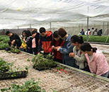 園藝技術專業