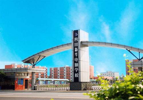 四川新華電腦學校2019年各專業招生簡介