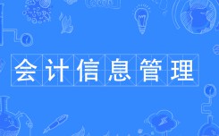 會(huì)計(jì)信息管理