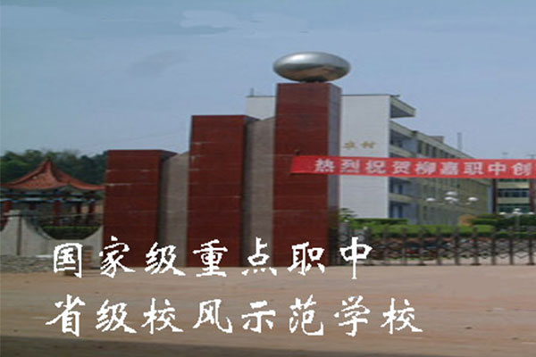 宜賓職業中學