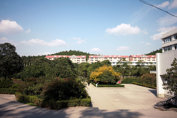 職業(yè)高中