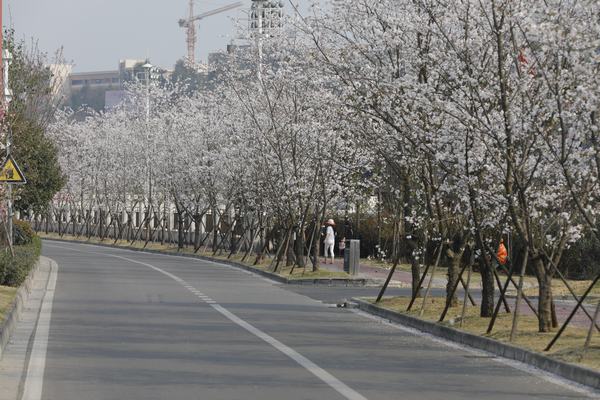 眉山職業高中那些好