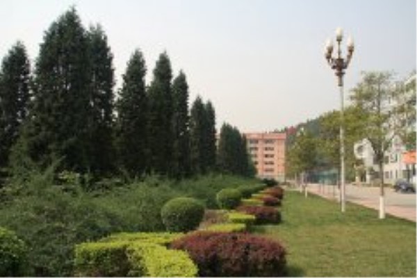 綿陽職業學校哪些好