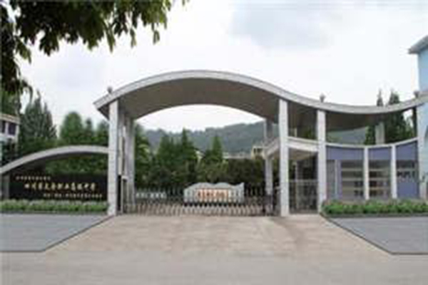 學校是什么
