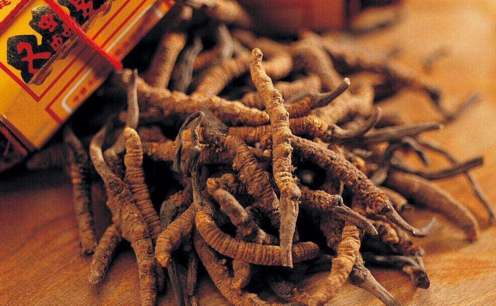 中醫(yī)學(xué)