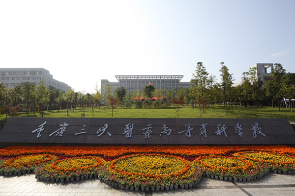 職業學校排名