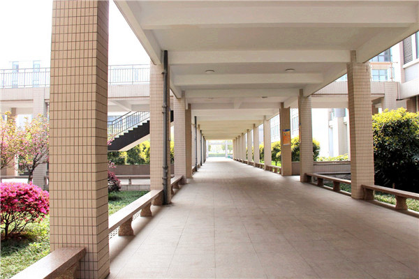 專科學(xué)校哪些好