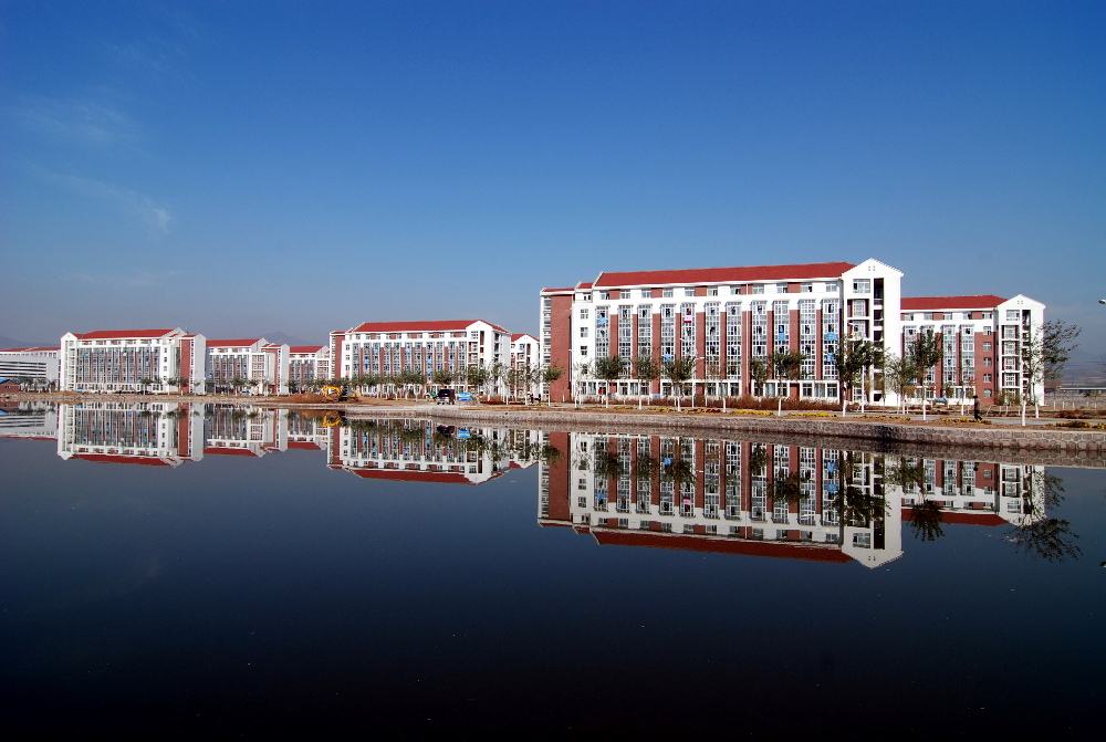 中專