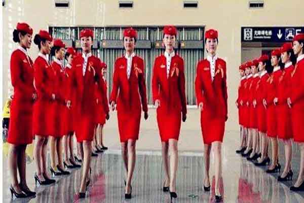 航空專業就業