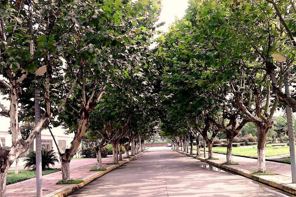 德陽職業學院
